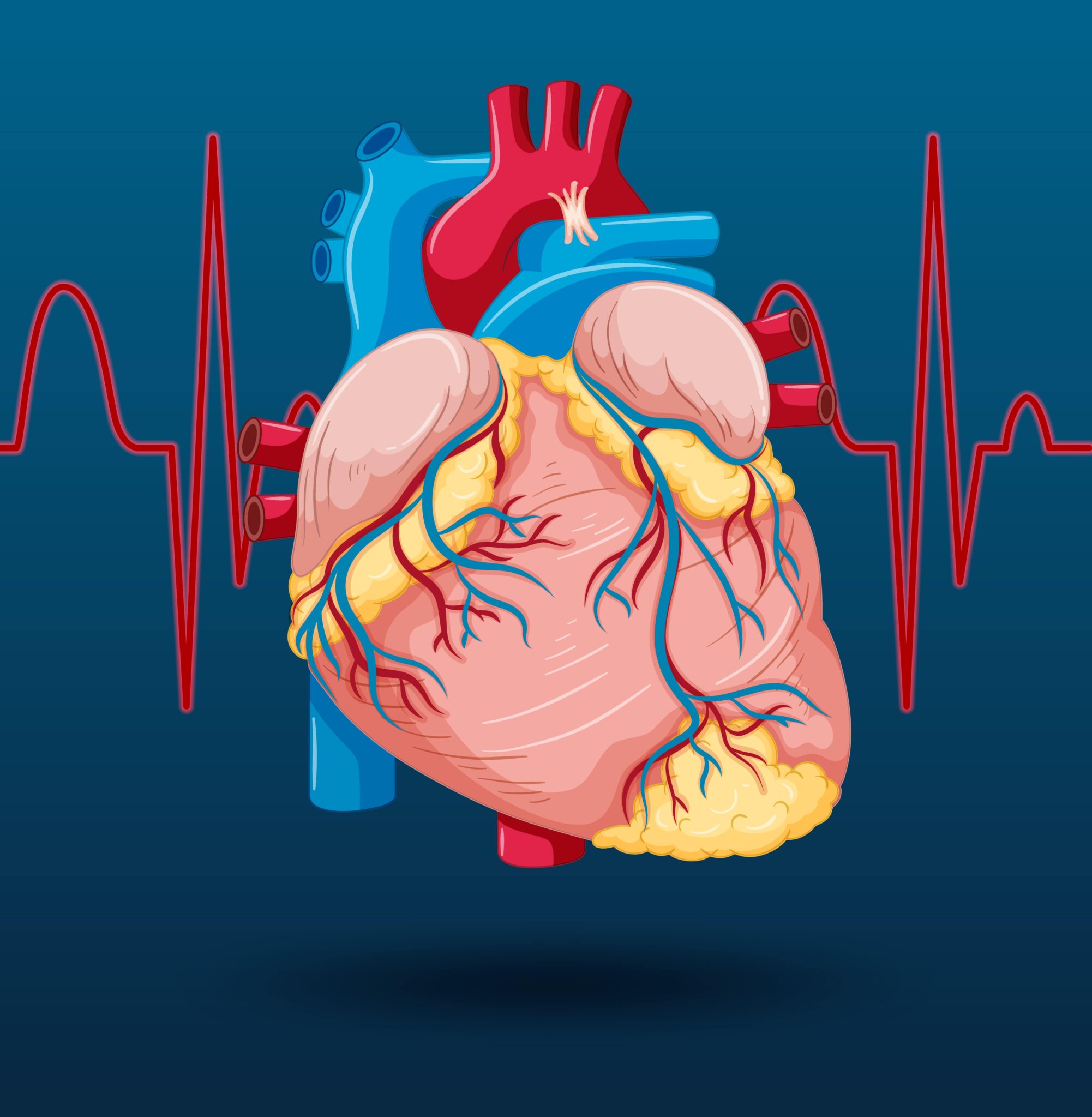 Radiofrequency Ablation Leslie Tay Heart Specialist