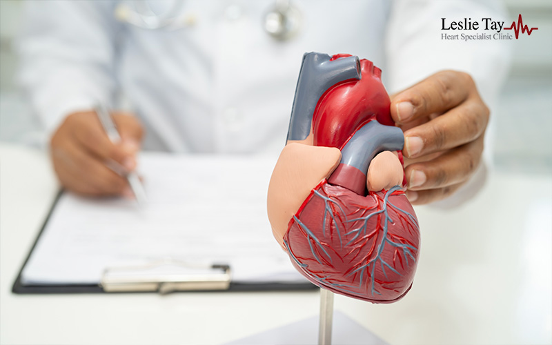 doctor performing heart health screening report