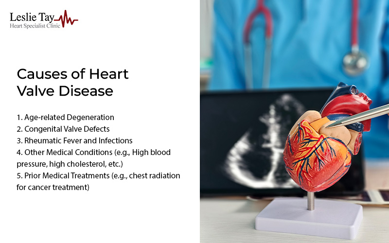 Medical graphic showing causes of heart valve disease with heart model and diagnostic imagery in background.